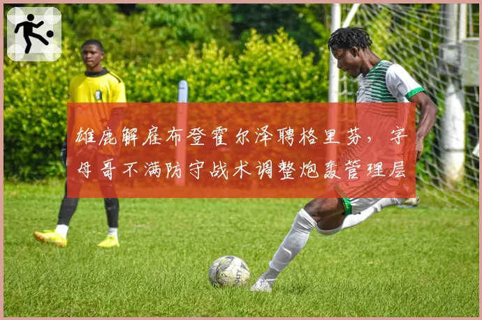 雄鹿解雇布登霍尔泽聘格里芬，字母哥不满防守战术调整炮轰管理层